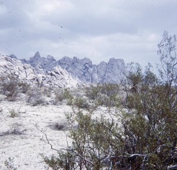 1971 Eastern Granite Mountains, Calif. 003