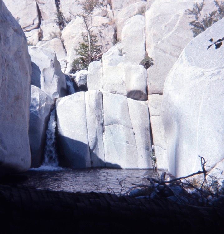 1971 Snow Creek, Mt. San Jacinto, Calif 065