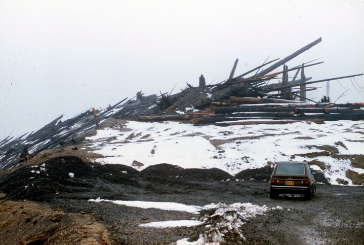 1983 Mt. St. Helens' Blast Zone 787