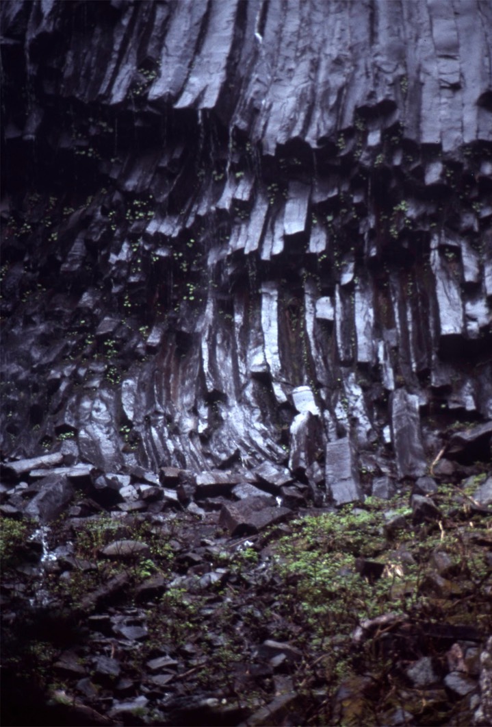 1989 Mt. Rainier 790