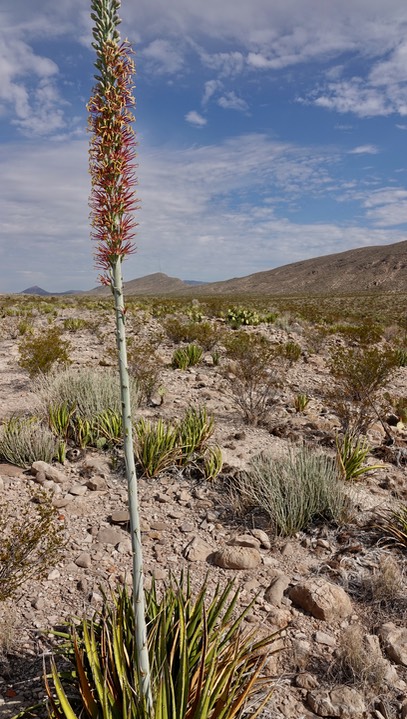 Big Bend National Park, Texas