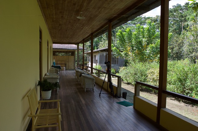 amazonia porch