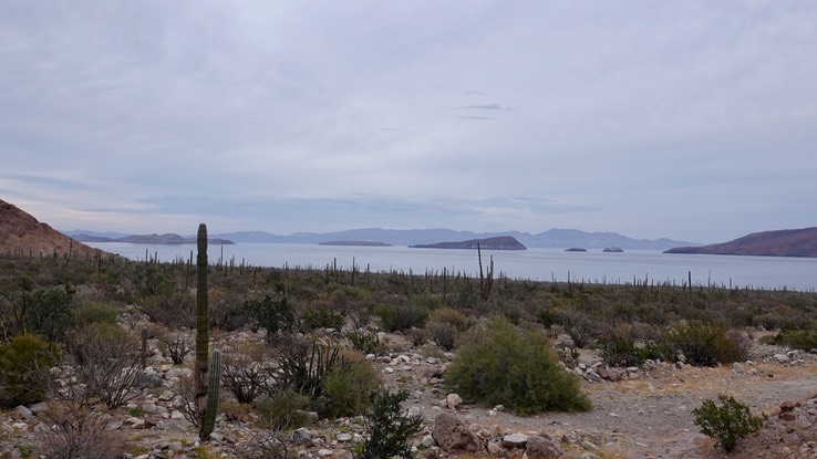 Bahia de los Angeles, Baja California