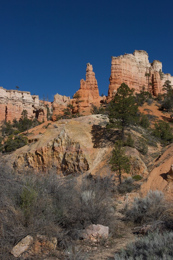 Bryce Canyon National Park Utah, USA2