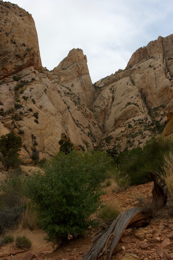 Capitol Reef National Park7