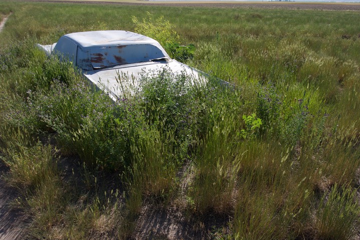 Carhenge2