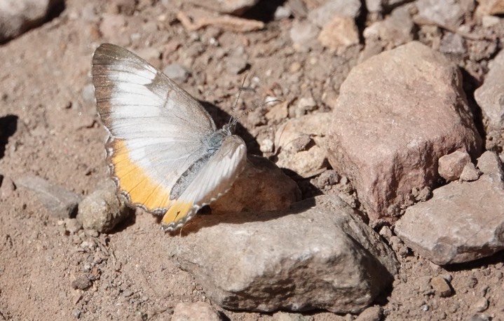 Big Bend National Park, Texas