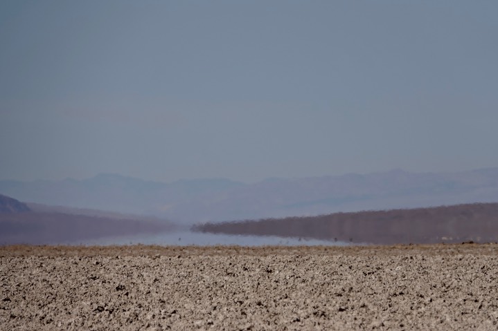 Death Valley National Park6