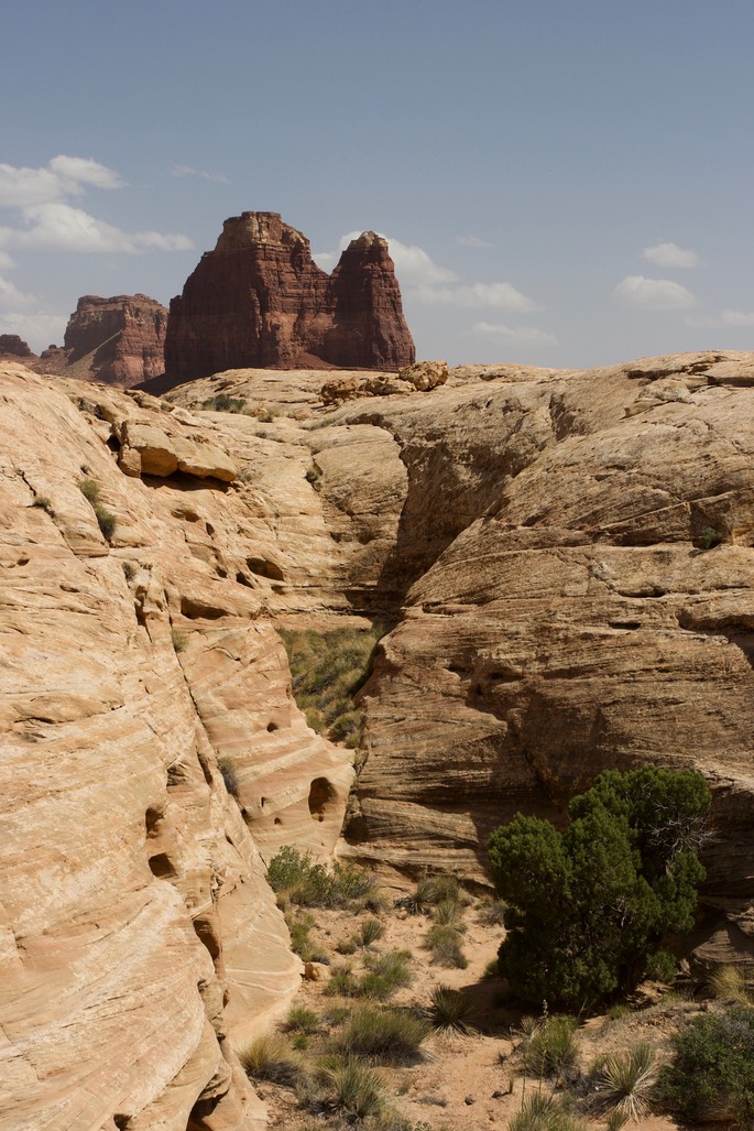 Dirty Devil River Canyon3