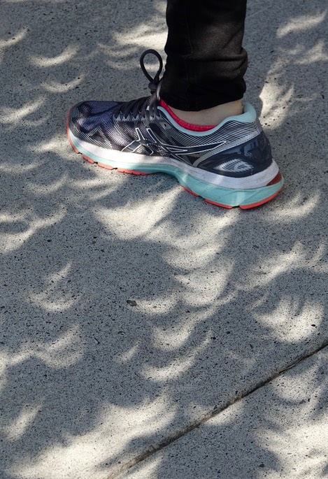 Eclipse shadows, Portland, Oregon