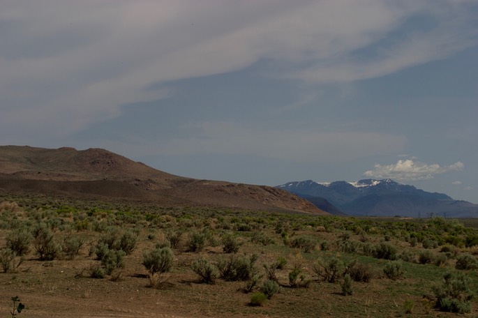 Fields, Oregon 3