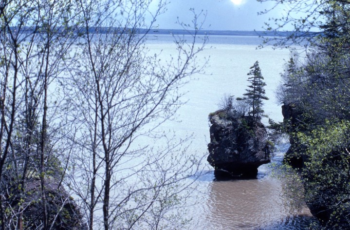 Hopewell Rocks631