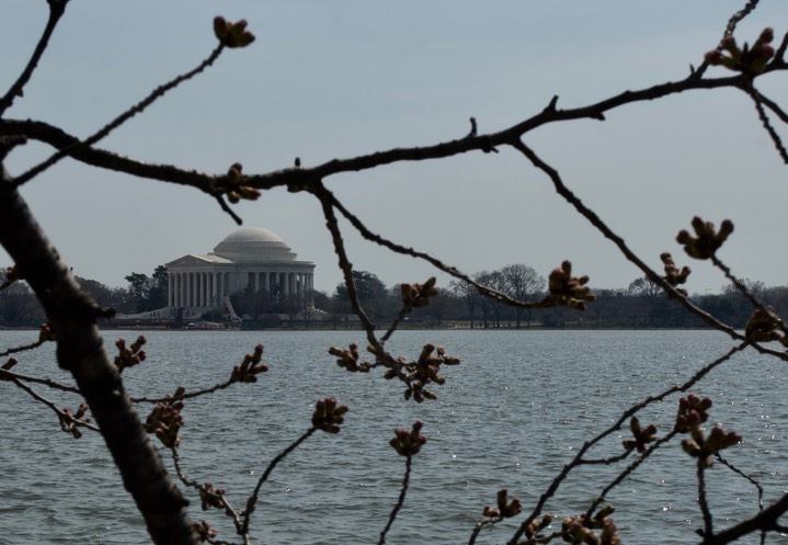 Jefferson Memorial 2