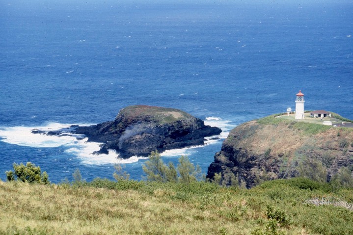 Kilauea Lighthouse426