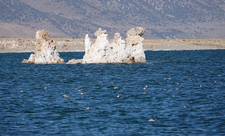 Mono Lake, California - Tufa Deposits