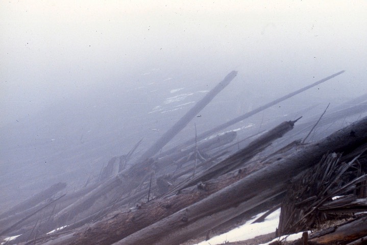 Mt. St. Helens Blast Zone998