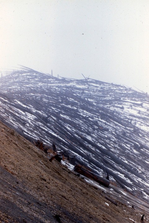 Mt. St. Helens Blast Zone999