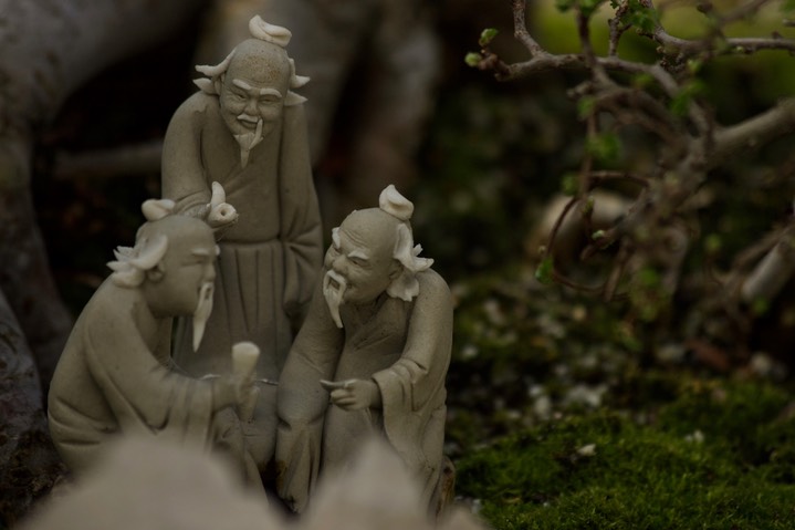 National Bonsai & Penjing Museum