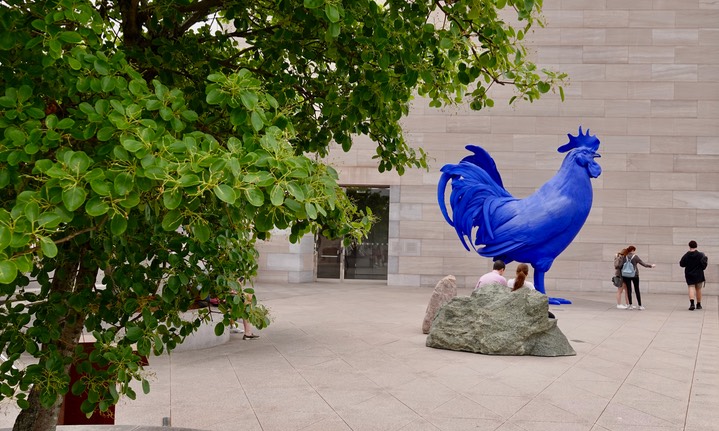 National Gallery of Art - East Building - Katharina Fritsch, Hahn-Cock, 2013. a