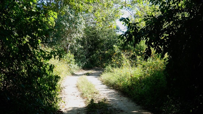 road-at-rancho-primavera_med