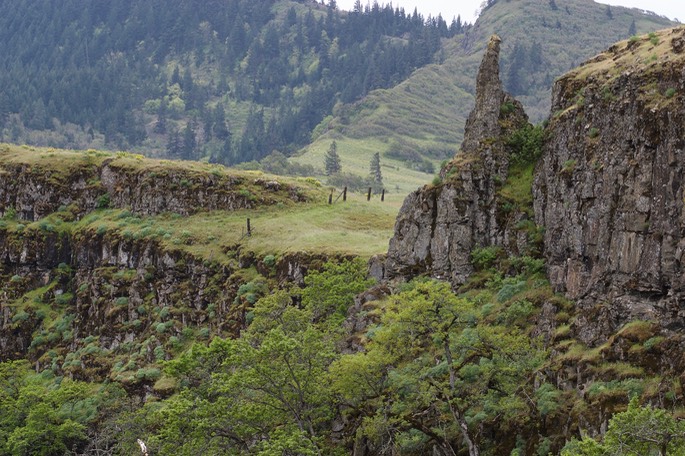 Rowena Dell, Columbia River Gorge, Oregon4