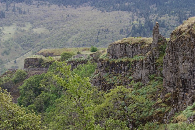 Rowena Dell, Columbia River Gorge, Oregon1