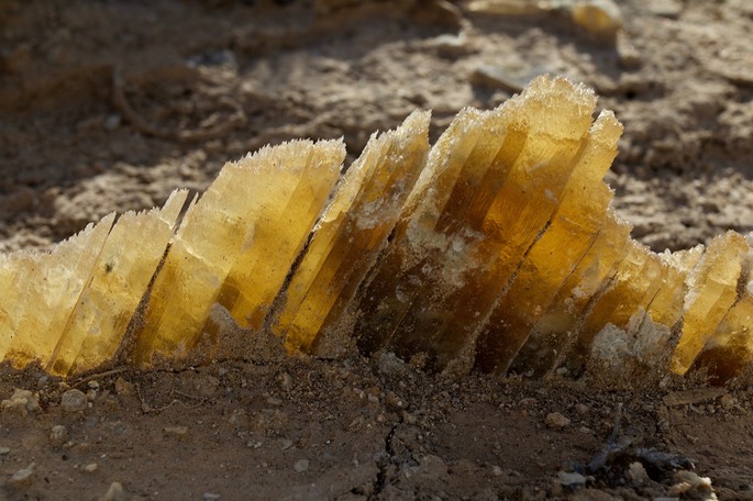 Selinite Crystals cg