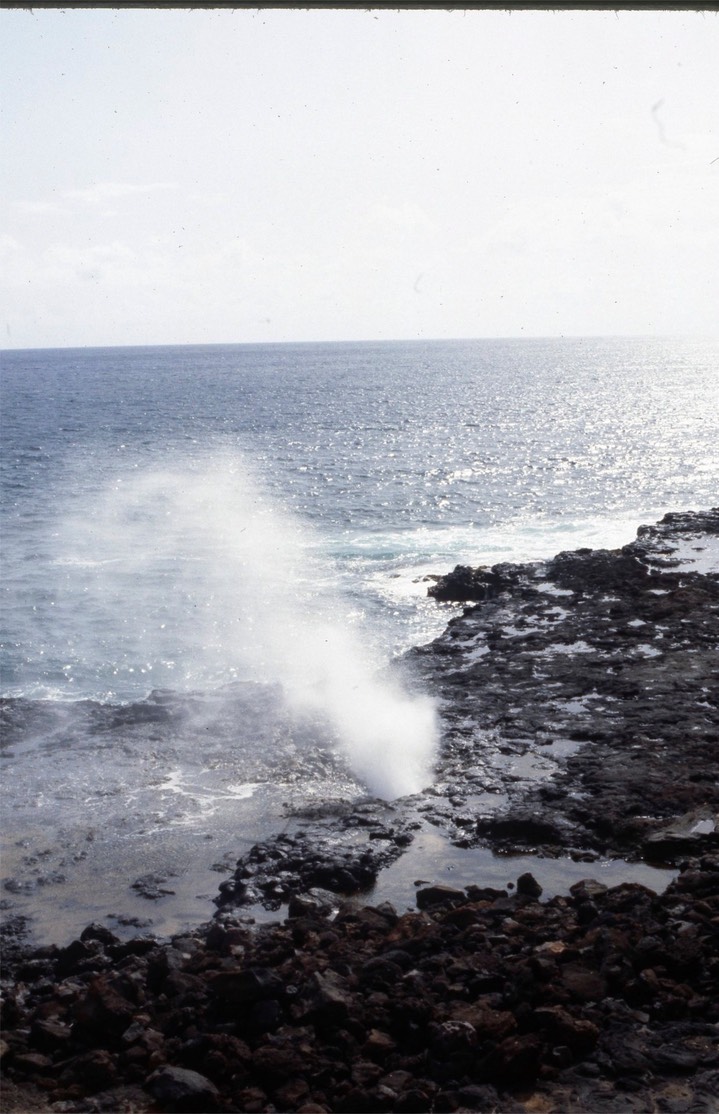 Spouting Horn461