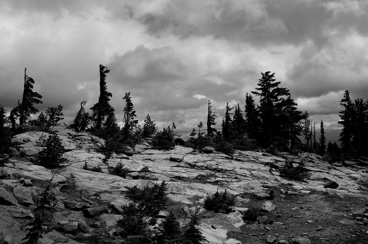 Timberline on Mt- Adams