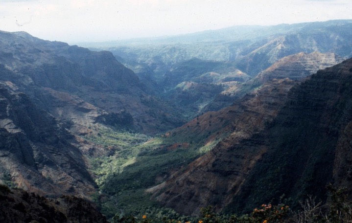 Waimea Canyon425