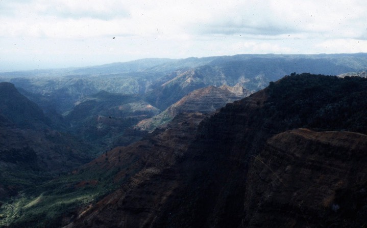 Waimea Canyon433