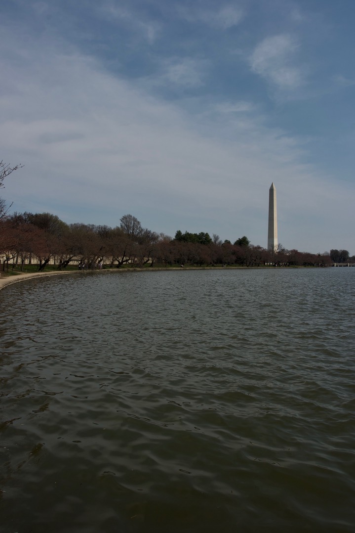 Washington Monument 2