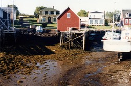 1995 Brier Island, Nova Scotia - Low Tide 033