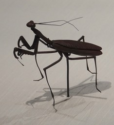 Articulated Figure of a Praying Mantis