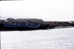 Barbate281