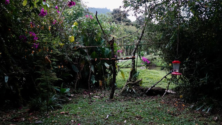 Bird Feeders Montezuma Ecolodge1