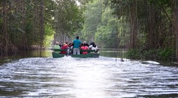 Caroni Swamp Ibis Tour