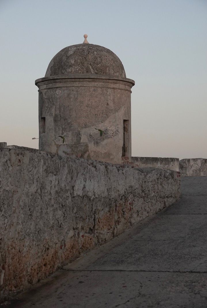 Cartagena Wall 2