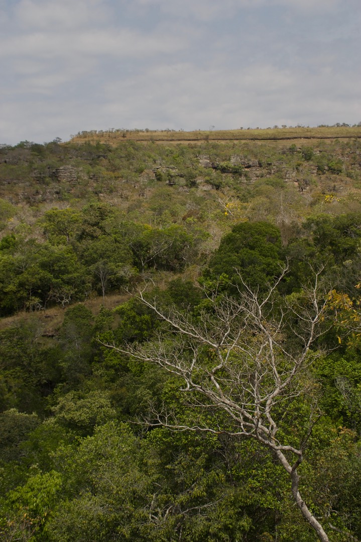 Chapada dos Guimarães, Brazil10