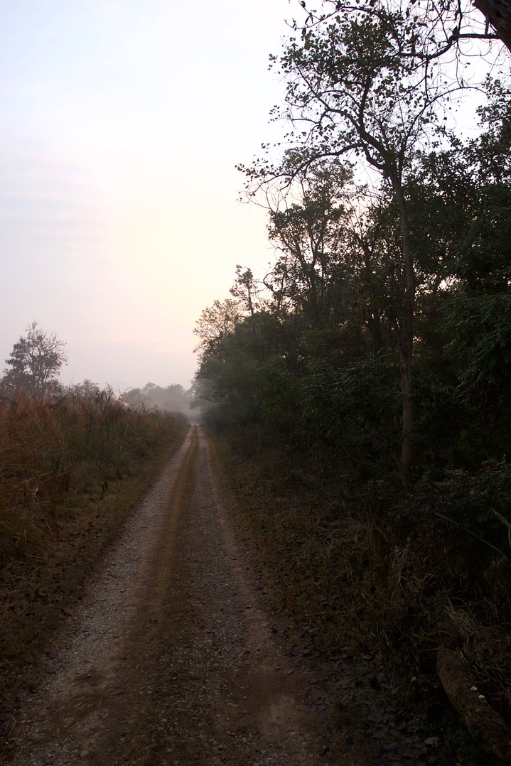 Corbett NP 4