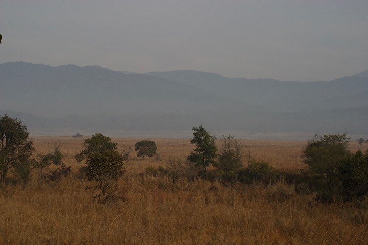 Corbett NP 6