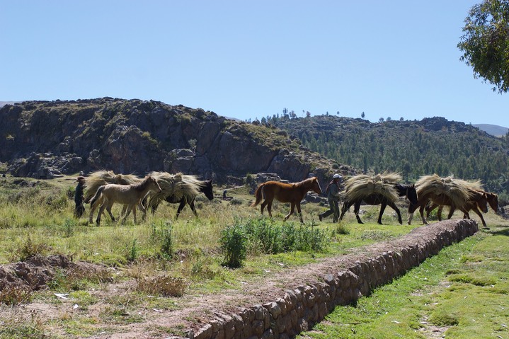 cusco a