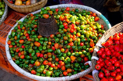 Chili - Nepal