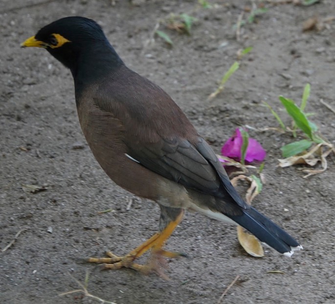 DSC03355