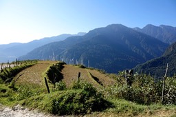DSC03524