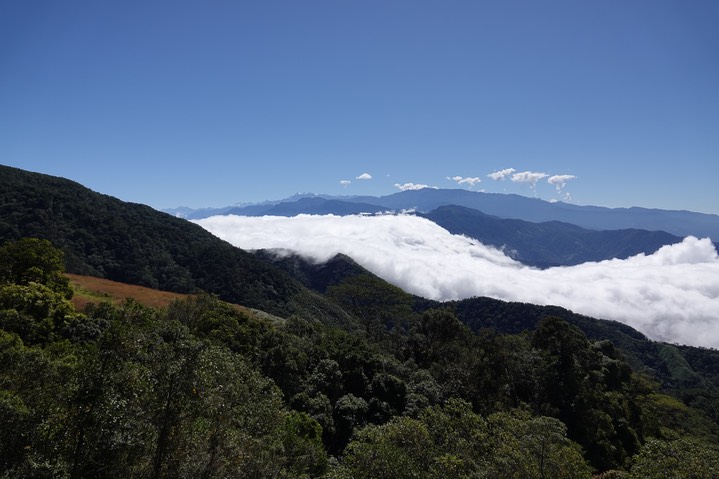 El Dorado Reserve, Santa Marta Mountains, Colombia40