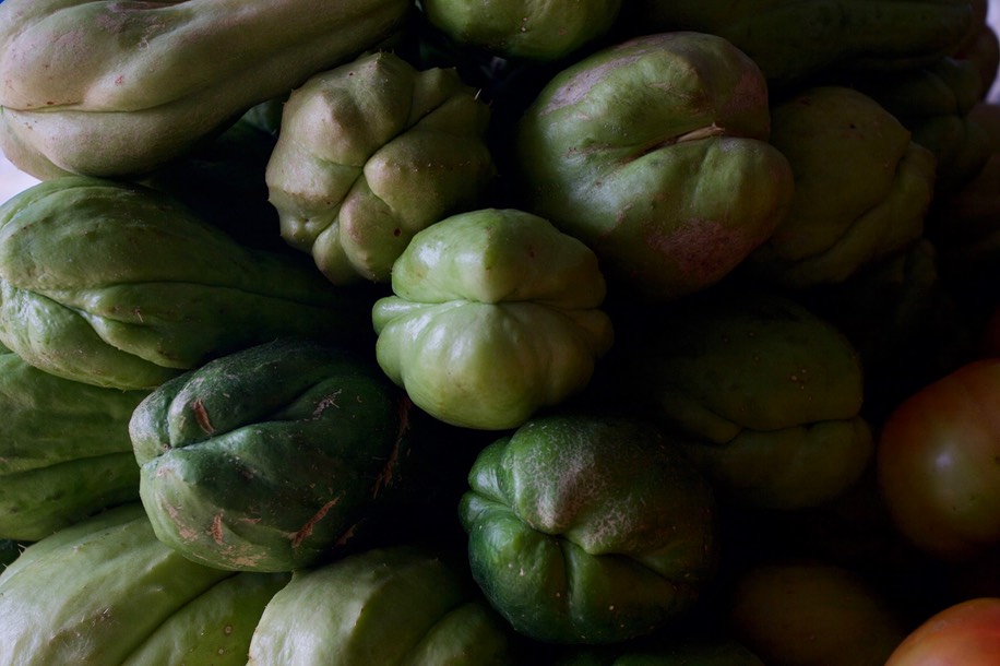 Chayote - Panama