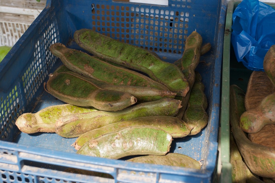 Guaba - Panama