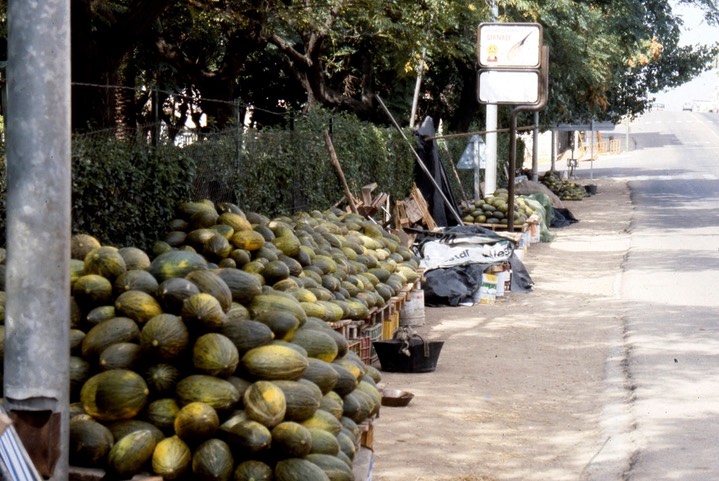 Fruit Stand - Merida257