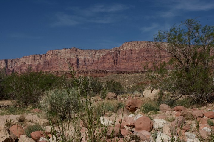 Glen Canyon Recreation Area AZ14